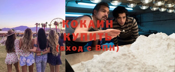 хмурый Алексин