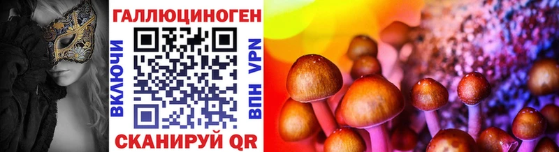 Галлюциногенные грибы GOLDEN TEACHER  цена наркотик  Касимов 