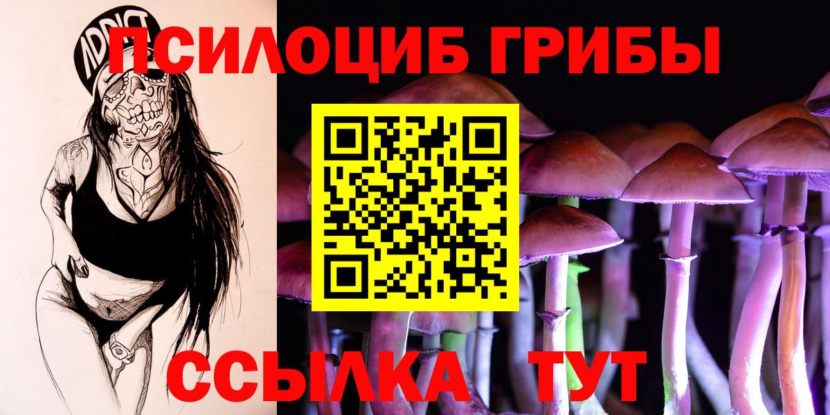 Касимов  Псилоцибиновые грибы Magic Shrooms  Вход с VPN 