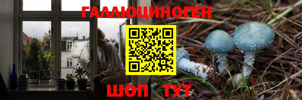 Псилоцибиновые грибы Magic Shrooms Касимов